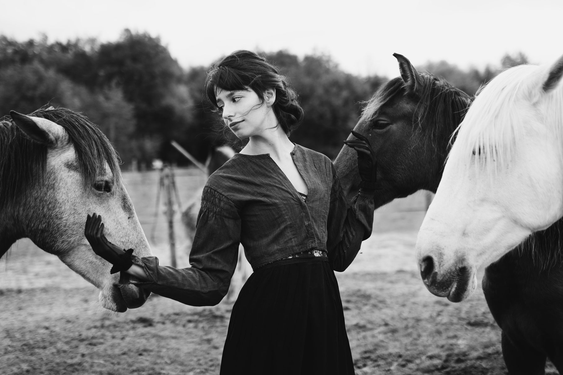 photographe portrait 37 chevaux