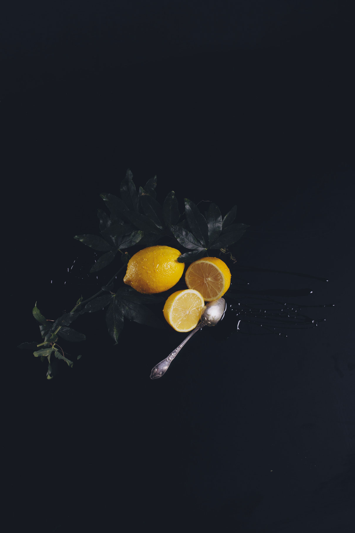 photographe culinaire 37 citrons et miel