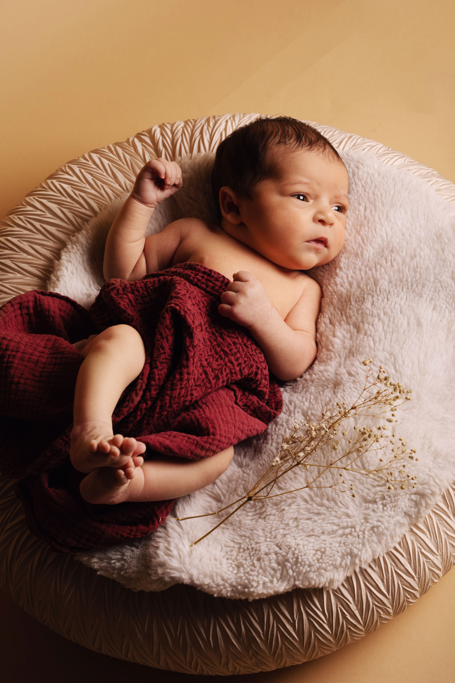 Photo d'un nouveau né sur un coussin